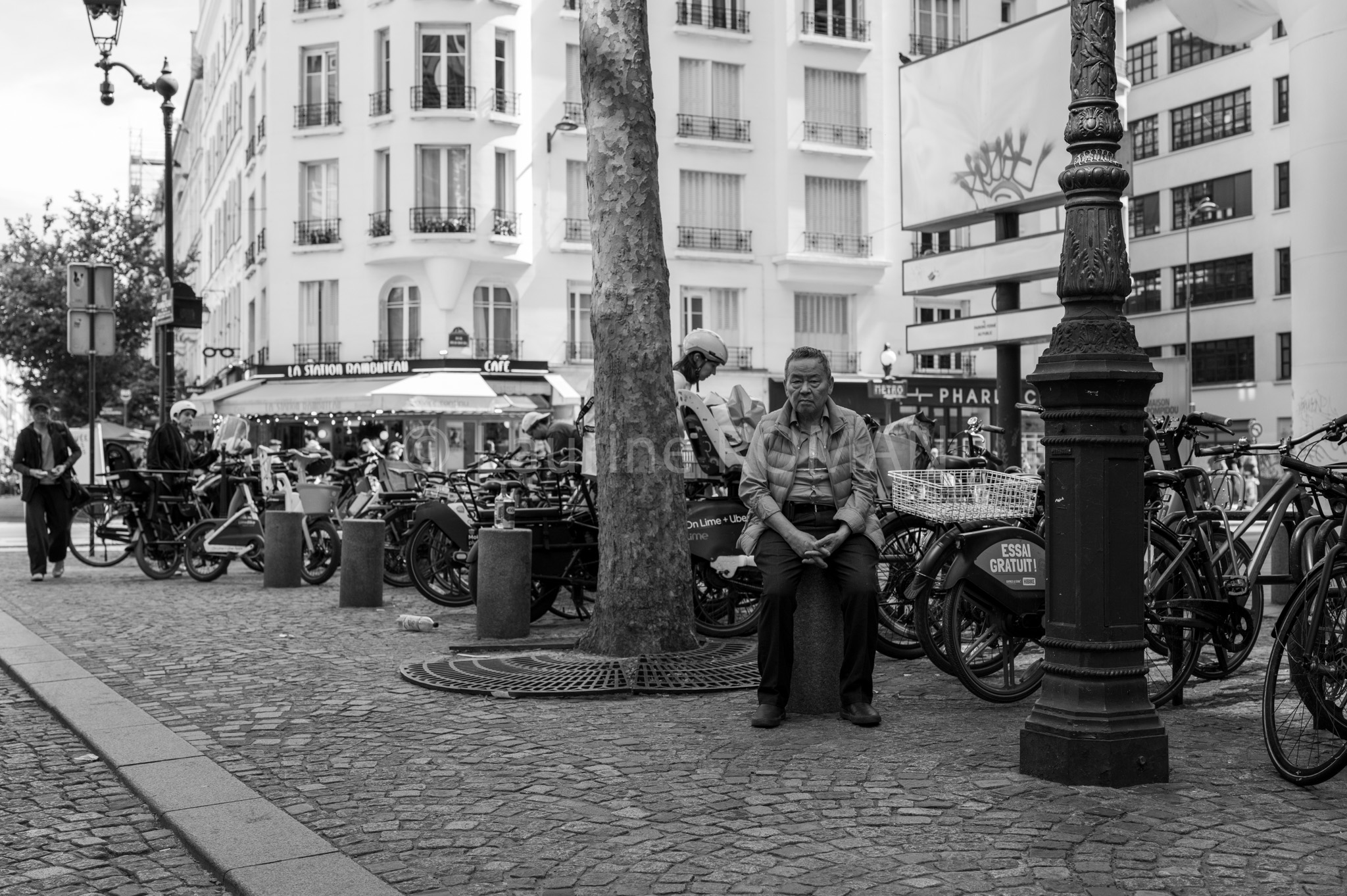 Photo de la galerie